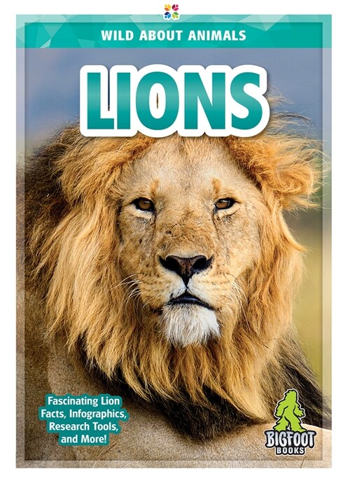 LIONS (Hardcover)