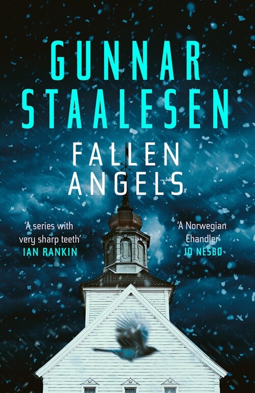 Fallen Angels (Paperback)