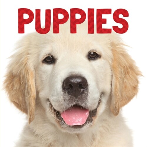 Puppies (Board Books)