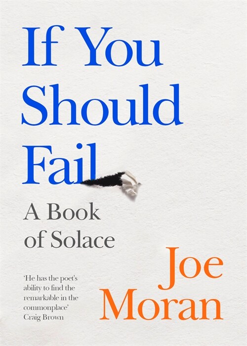 If You Should Fail : A Book of Solace (Hardcover)