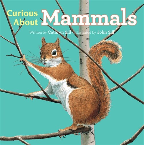 Curious about Mammals (Board Books)