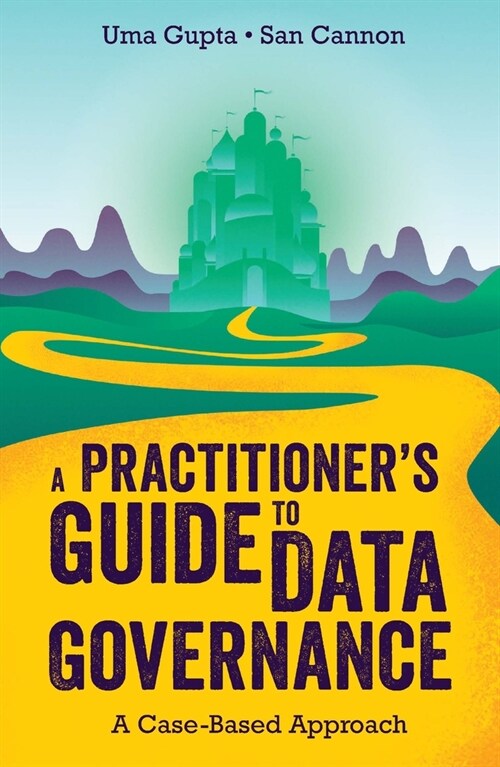 A Practitioners Guide to Data Governance : A Case-Based Approach (Paperback)