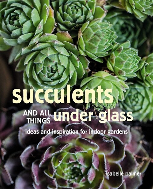 Succulents and All things Under Glass : Ideas and Inspiration for Indoor Gardens (Hardcover)