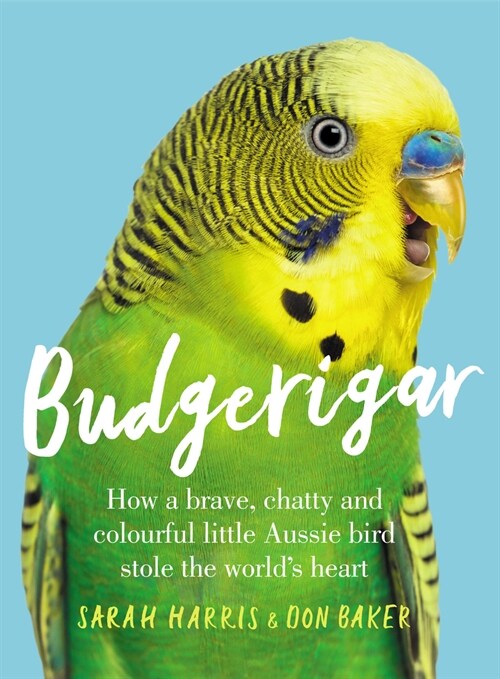 Budgerigar: How a Brave, Chatty and Colourful Little Aussie Bird Stole the Worlds Heart (Paperback)