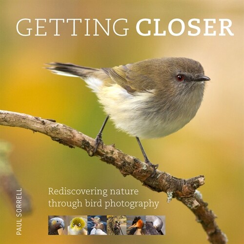 Getting Closer: Rediscovering Nature Through Bird Photography (Hardcover)