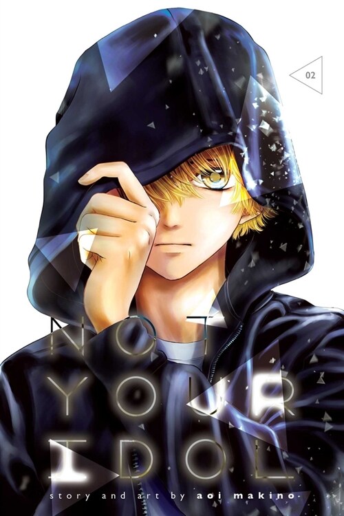 Not Your Idol, Vol. 2 (Paperback)