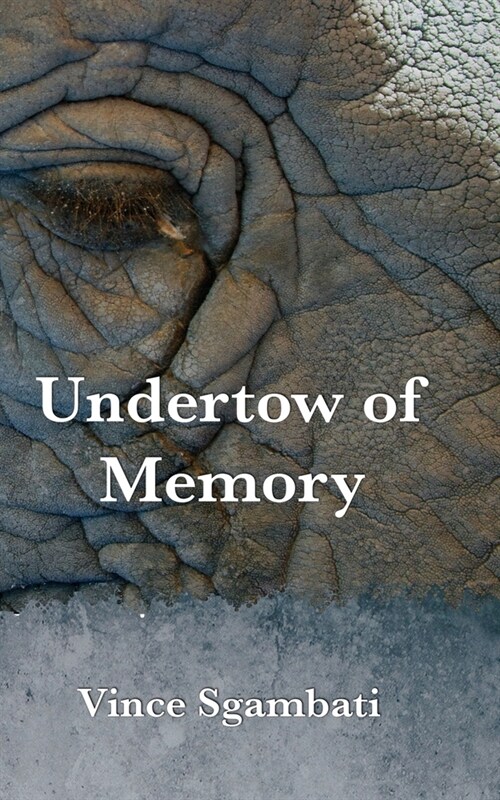 Undertow of Memory (Paperback)