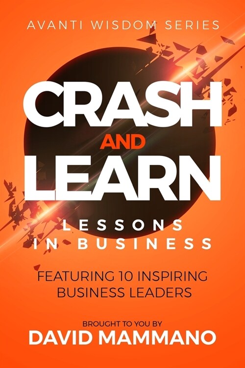 Crash and Learn: Lessons in Business (Paperback)