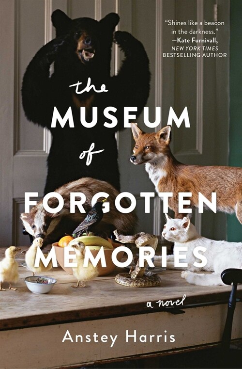 The Museum of Forgotten Memories (Paperback)