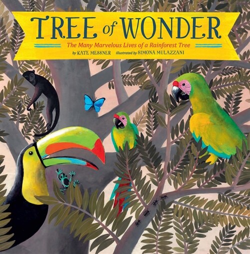 Tree of Wonder: The Many Marvelous Lives of a Rainforest Tree (Paperback)