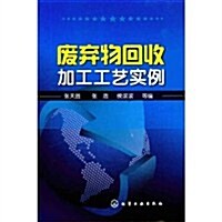 废棄物回收加工工藝實例 (第1版, 平裝)