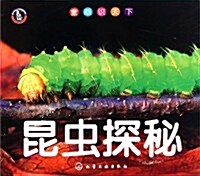 童眼识天下:昆蟲探秘 (第1版, 平裝)