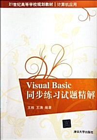 Visual Basic同步練习试题精解 (第1版, 平裝)