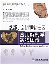 盆部、會陰和脊柱區應用解剖學實物圖谱 (第1版, 平裝)