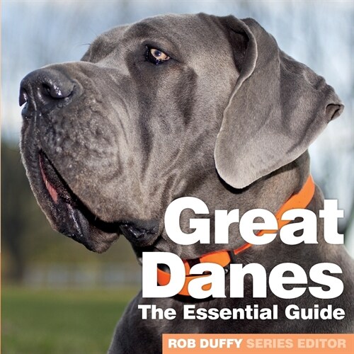 Great Danes: The Essential Guide (Paperback)
