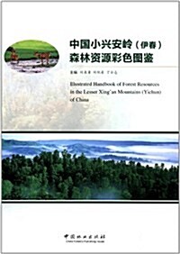 中國小興安嶺(伊春)森林资源彩色圖鑒 (第1版, 精裝)