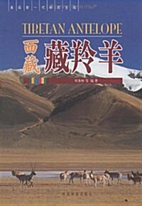 西藏藏羚羊 (第1版, 平裝)