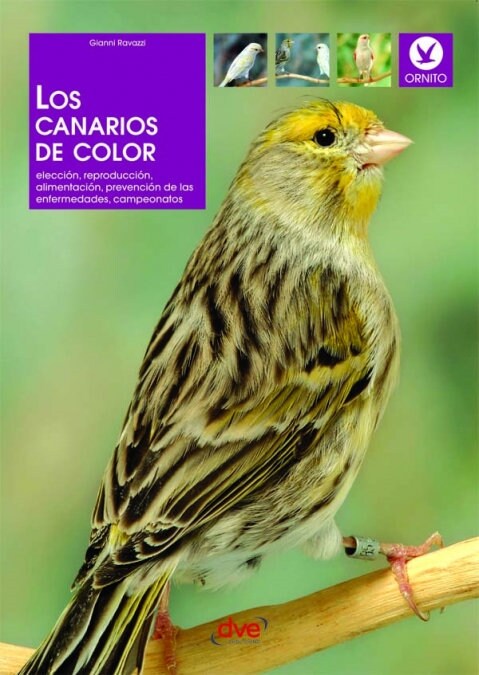 LOS CANARIOS DE COLOR (Book)