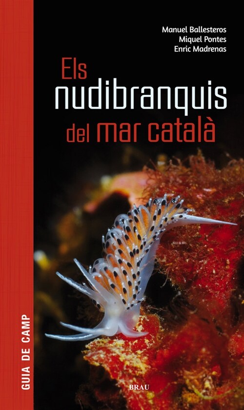 ELS NUDIBRANQUIS DEL MAR CATALA (Paperback)