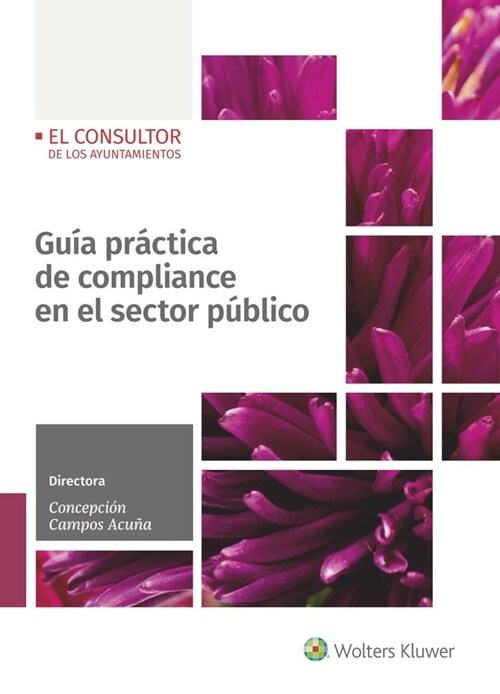 GUIA PRACTICA DE COMPLIANCE EN EL SECTOR PUBLICO (Paperback)