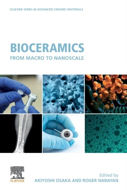 Bioceramics : From Macro to Nanoscale (Paperback)