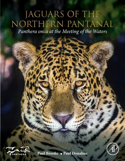 Jaguars of the Northern Pantanal: Panthera Onca at the Meeting of the Waters (Paperback)