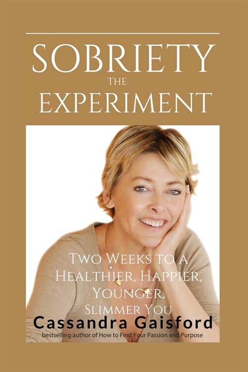 The Sobriety Experiment (Paperback)