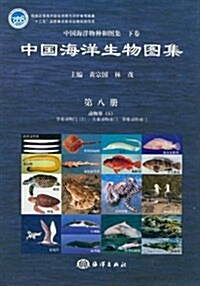 中國海洋生物圖集(8)(精) (第1版, 精裝)