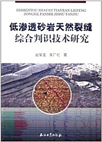 低渗透沙巖天然裂缝综合判识技術硏究 (第1版, 平裝)