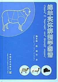 綿羊實體解剖學圖谱 (第1版, 平裝)