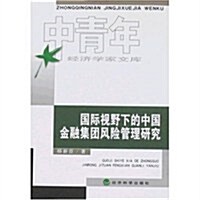 國際视野下的中國金融集團風險管理硏究 (第1版, 平裝)