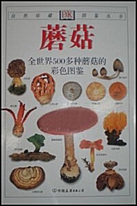蘑菇 (第1版, 平裝)