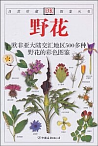 野花:歐非亞大陸交汇地區500多种野花的彩色圖鑒 (第1版, 平裝)