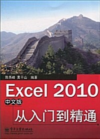 Excel 2010中文版從入門到精通 (第1版, 平裝)