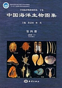 中國海洋生物圖集(4)(精) (第1版, 精裝)