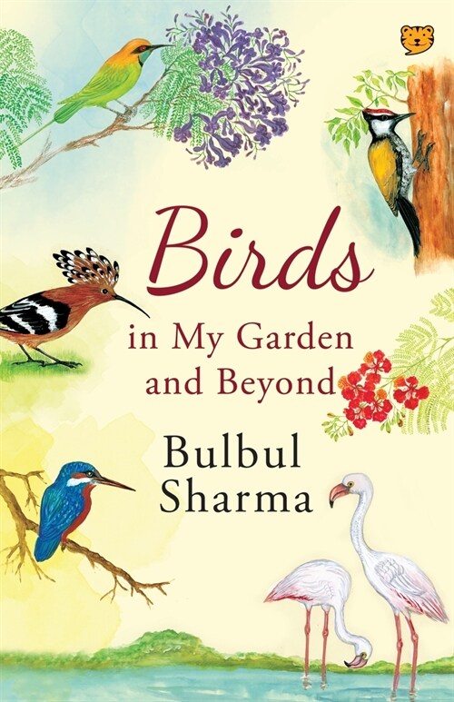 Birds in My Garden and Beyond (Paperback)
