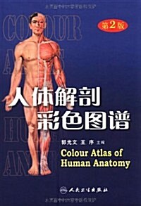 人體解剖彩色圖谱(第2版) (第2版, 精裝)