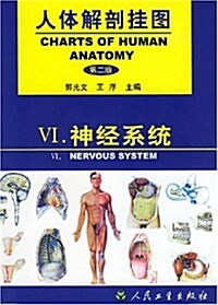 人體解剖掛圖:神經系统 (第1版, 精裝)