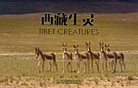 名信片圖集:西藏生靈 (第1版, 平裝)