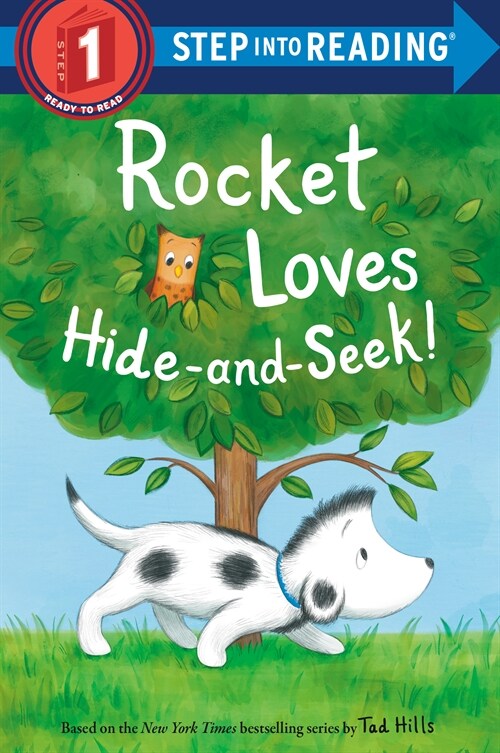 Rocket Loves Hide-And-Seek! (Library Binding)