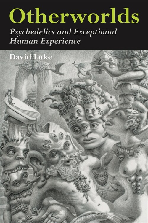 Otherworlds : Psychedelics and Exceptional Human Experience (Paperback)