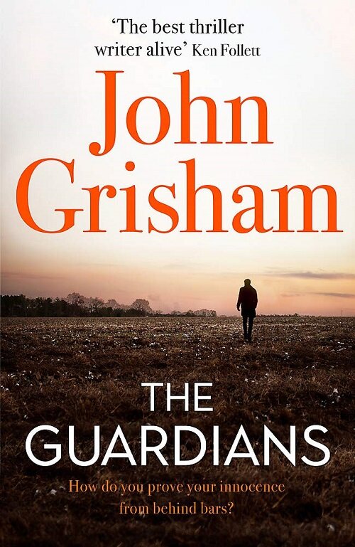 The Guardians : The Sunday Times Bestseller (Paperback)