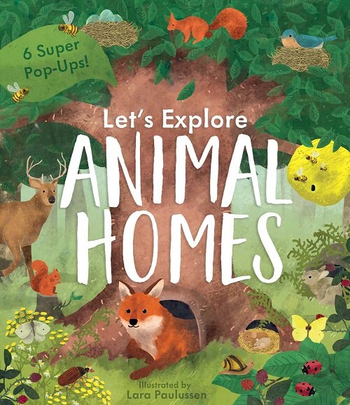 Animal Homes (Board Book)