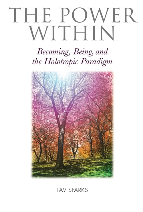 The Power Within : Becoming, Being, and the Holotropic Paradigm (Paperback)