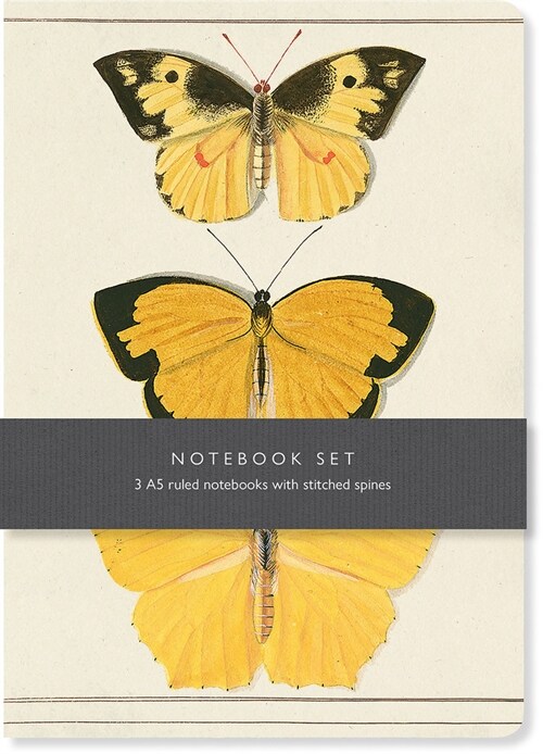 Butterfly Notebook Set : 3 A5 lined notebooks with stitched spines (Notebook / Blank book)