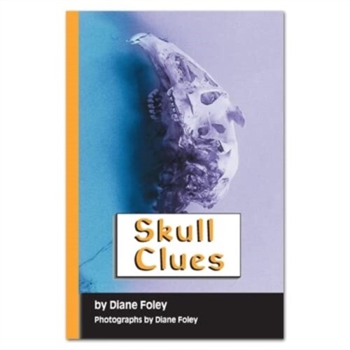 RAINBOW READING SKULL CLUES - (Paperback)