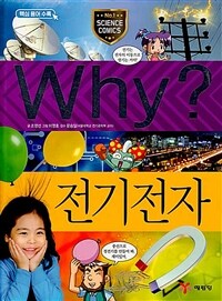 Why? 전기전자 