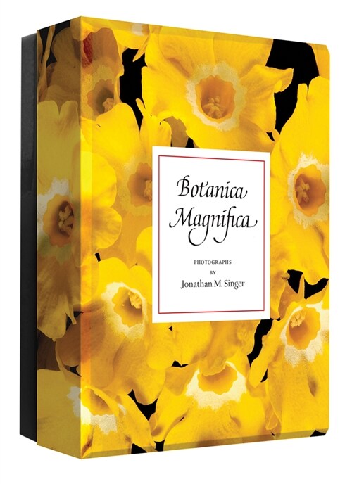 Botanica Magnifica Notecards (Other)