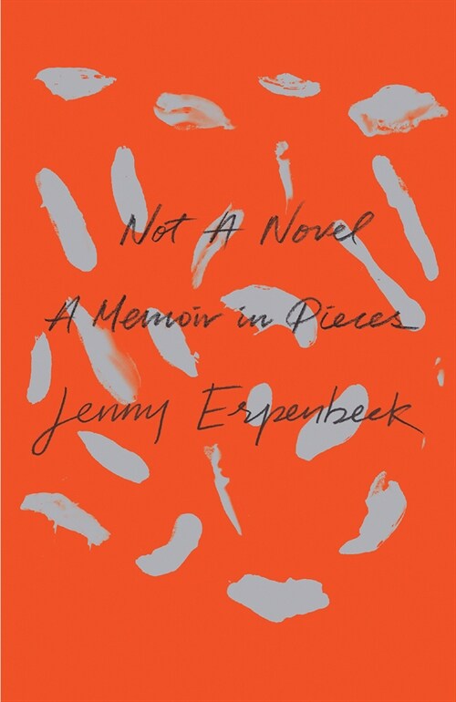 Not a Novel: A Memoir in Pieces (Paperback)