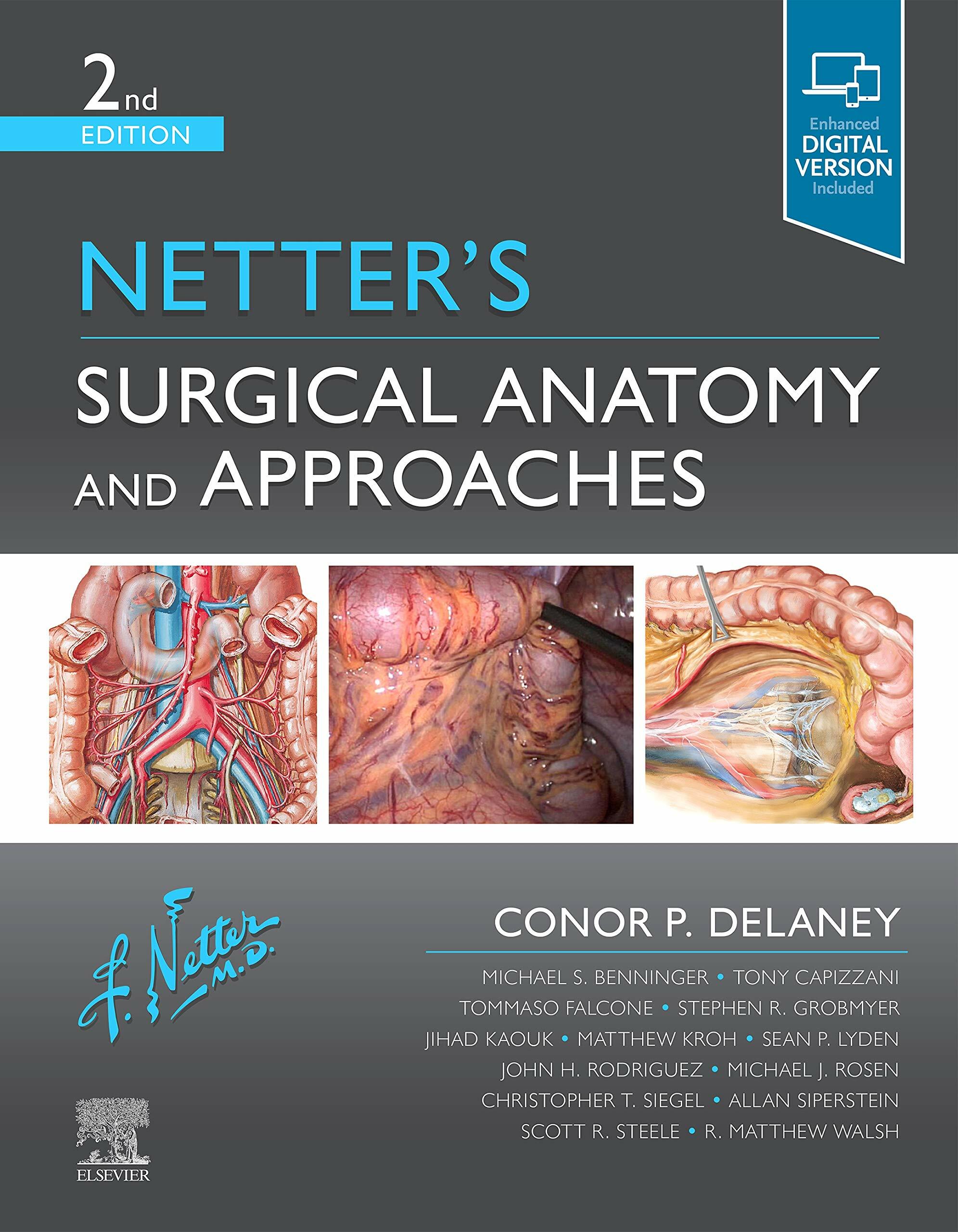 Netters Surgical Anatomy and Approaches (Hardcover, 2)